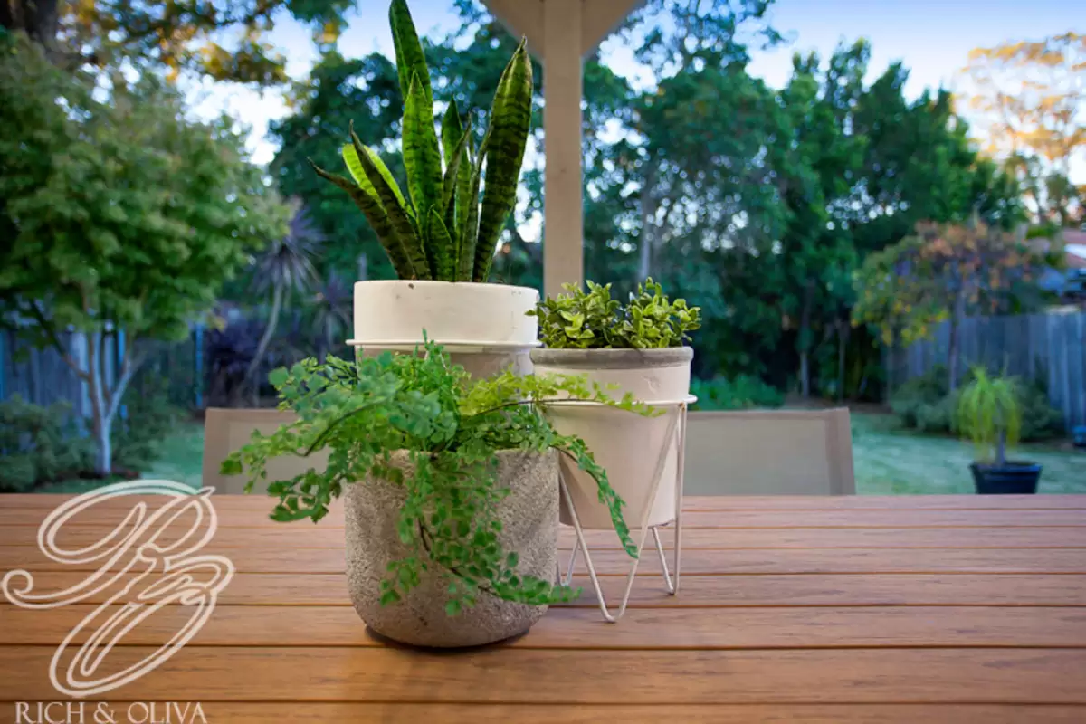 20 Lily Street, Burwood Heights Sold by Rich & Oliva - image 13