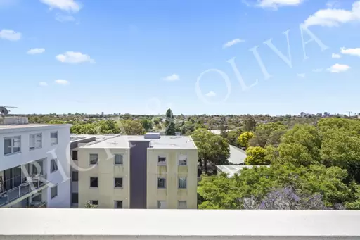 402/459 Liverpool Road, Strathfield Leased by Rich & Oliva