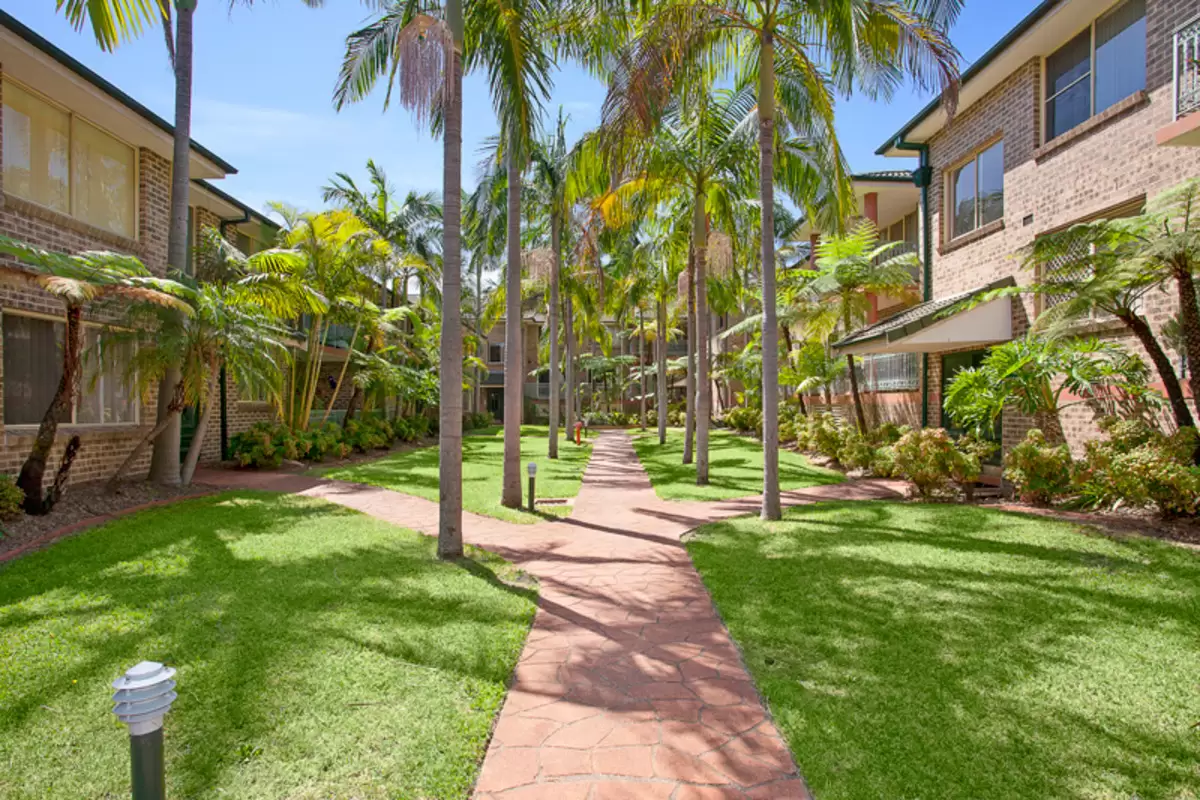 6/2A Tangarra Street East, Croydon Park Sold by Rich & Oliva - image 1