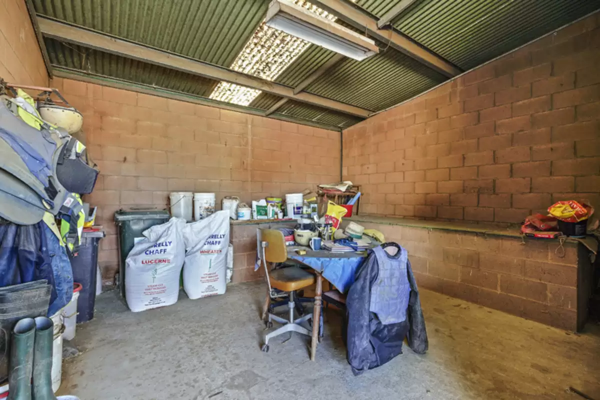 90 Simmat Avenue, Condell Park Sold by Rich & Oliva - image 5